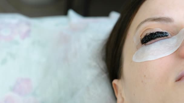 美容治疗。在女人脸上的特写眼睛与睫毛上的油漆。复合睫毛. — 图库视频影像