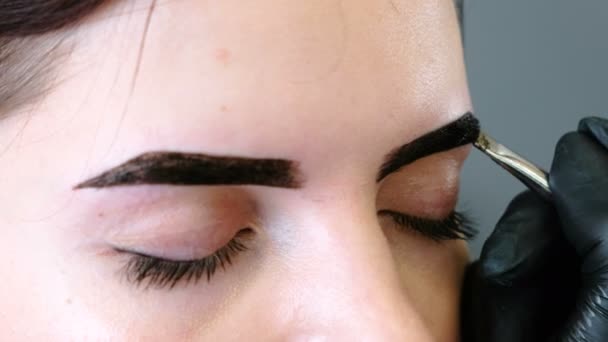 Cosmetologue met de la peinture sur les sourcils des clients avec un pinceau. Vue rapprochée des yeux. Correction des sourcils . — Video