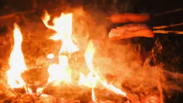 Lidé osmahneme klobásy na požár v lese v noci. Detail klobásy. — Stock video