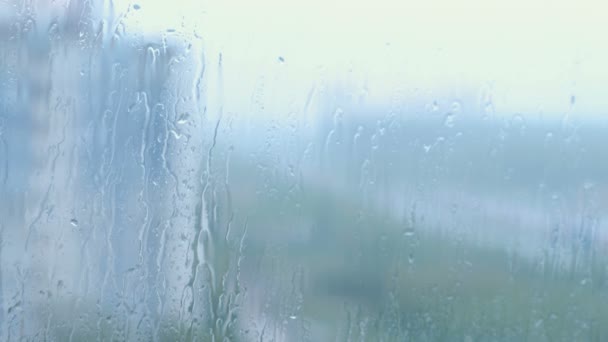 Raindrops flow down the glass close-up. — Stock Video