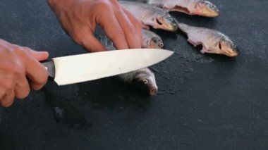 Adam siyah masada sazan balık kesim yapar. Balık pişirme. Yakın çekim el.