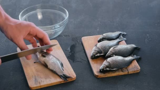 O homem limpa a carpa das escamas. Mãos fechadas. Cozinhar um peixe . — Vídeo de Stock