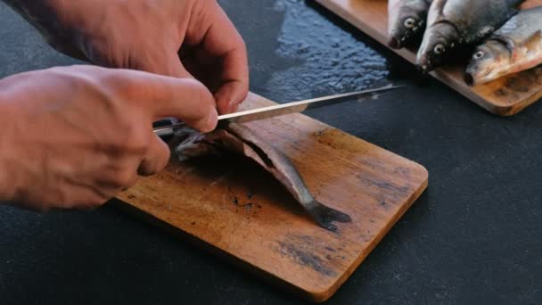 O homem corta as barbatanas do peixe-carpa. A cozinhar peixe. Mãos ao alto . — Vídeo de Stock