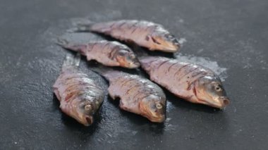 Baharat siyah tablo yakın tarih içinde sazan. Yan görünüm.