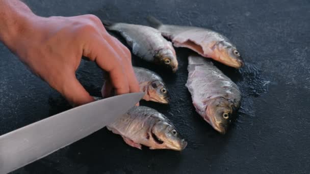 Ο άνθρωπος κάνει περικοπές στο ψάρι κυπρίνος στον μαύρο πίνακα. Μαγείρεμα ψαριών. Γκρο πλαν χέρι. — Αρχείο Βίντεο