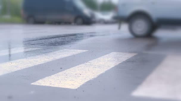 El chico cruza la calle en un cruce peatonal bajo la lluvia. Primer plano de las piernas . — Vídeo de stock