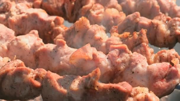 Smakelijk sappig varkensvlees barbecue is gebrand op een spies bovenop de houtskool barbecue. Stukken vlees close-up. — Stockvideo