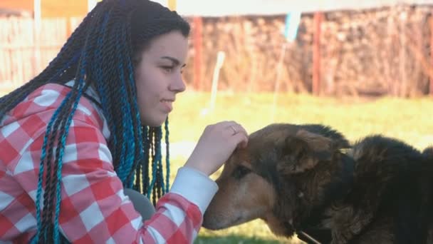 Ung kvinna med blå flätor hårstrån klappa hunden utanför. — Stockvideo