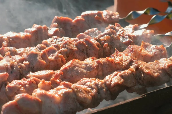 Ορεκτικές ζουμερό χοιρινό μπάρμπεκιου ψήνεται για σουβλάκια πάνω σε ψησταριά με κάρβουνα. Γκρο πλαν τεμάχια κρέατος. — Φωτογραφία Αρχείου
