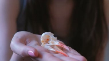 Bir kuş kafatası elinde tutan kadın.