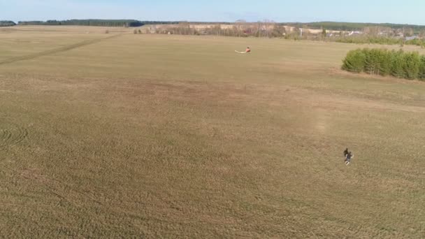 Genç adam bir uçurtma başlattı ve onunla tarlada çalışır. Havadan panoramik görünümü. — Stok video