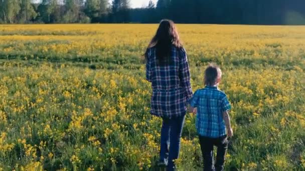 Mamá e hijo caminan en el campo de flores amarillas. Vista trasera . — Vídeo de stock
