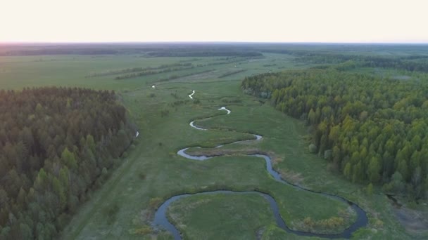 Vista aerea sul campo, fiume e foresta all'inizio della primavera . — Video Stock