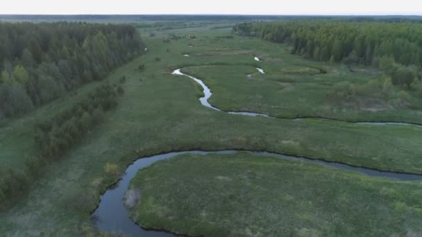 Vista aérea sobre el campo, el río y el bosque a principios de primavera . — Vídeos de Stock