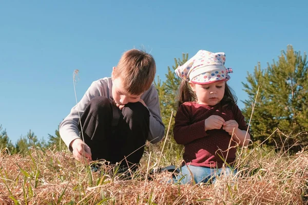 Hermano y hermana juegan sentados en la hierba en el bosque . —  Fotos de Stock