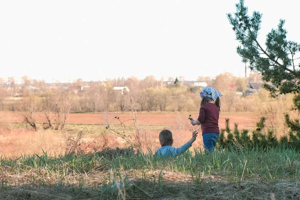 Брат и сестра играют вместе на траве в лесу. Сухие цветы . — стоковое фото