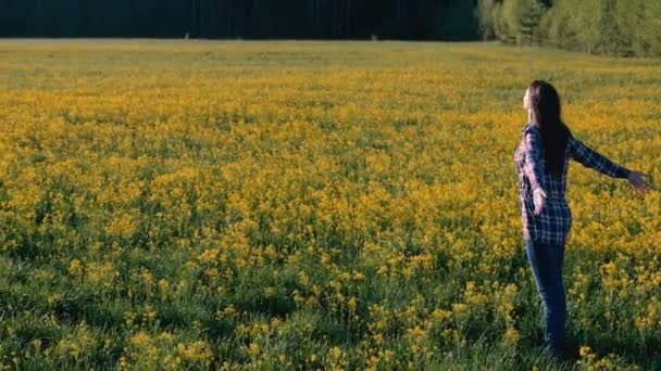 Mulher morena caminha no campo de flores amarelas. Alonga e respira profundamente . — Vídeo de Stock
