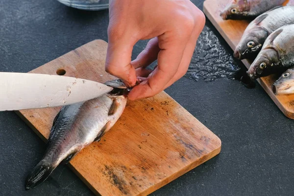Man cuts gills of carp fish. Cooking fish. Hands close up.