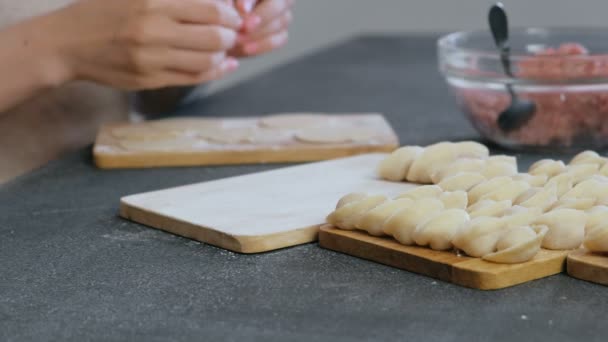 女人用肉做饺子, 特写手. — 图库视频影像