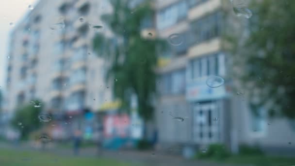 Vista della città dal finestrino dell'auto attraverso la pioggia. Sfocatura . — Video Stock