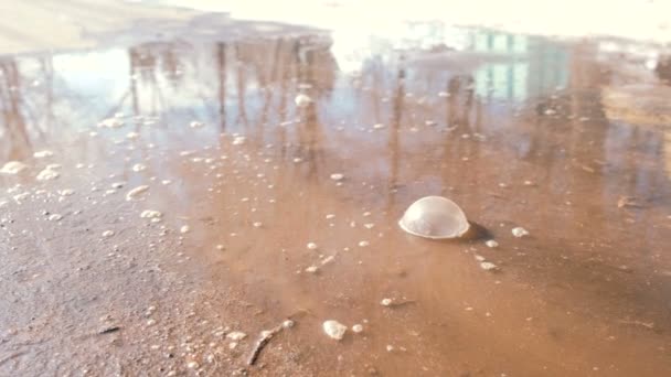 泥の水たまりに大きな泡は。クローズ アップ. — ストック動画