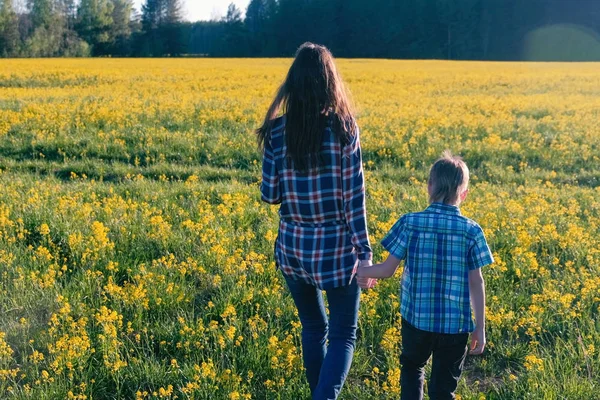 Mamá e hijo caminan en el campo de flores amarillas. Vista trasera . — Foto de Stock