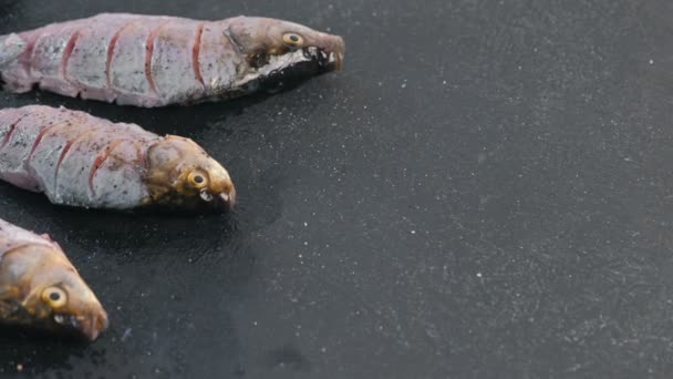 Carp in spices on a black table close-up. — Stock Video