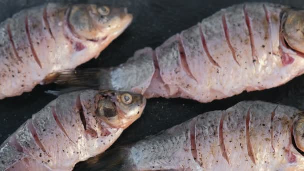 Carp in spices on a black table close-up. Top view. — Stock Video