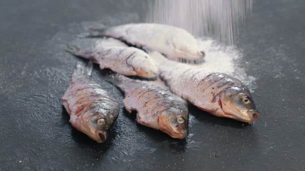 Carpa de pescado en especias espolvoreadas con harina sobre una mesa negra . — Vídeo de stock