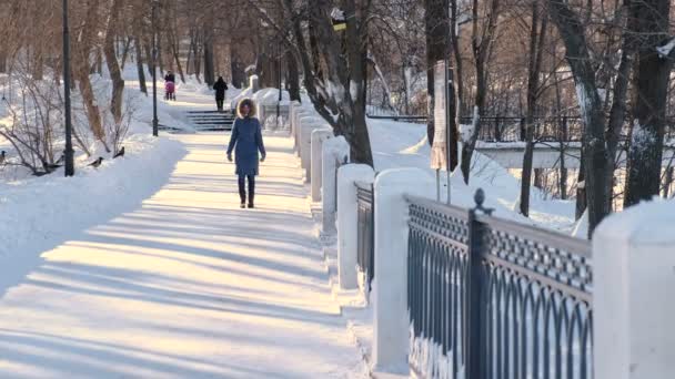 穿着蓝色羽绒服的年轻女子在冬季公园里走着毛皮帽。前视图. — 图库视频影像