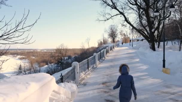 Mujer joven en chaqueta azul con capucha de piel caminando en el parque de invierno. Vista trasera . — Vídeos de Stock