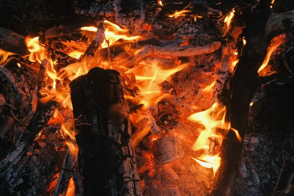 Спалювання багаття сухих гілок в лісі крупним планом . — стокове фото