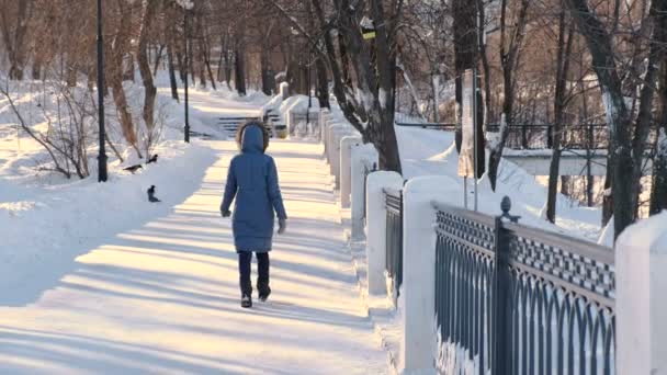 Jovem mulher de casaco azul para baixo com capuz de pele andando no parque de inverno. Visão traseira . — Vídeo de Stock