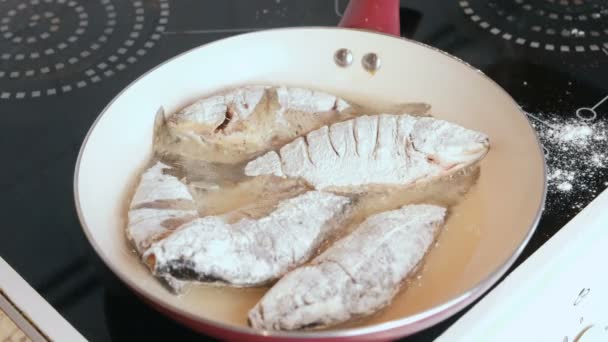 Рибні туші смажені в олії на сковороді . — стокове відео