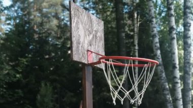 Basketbol halka parkta ağaçların yakın çekim arasında.