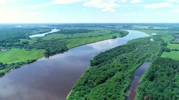 Bela paisagem natural de rio e floresta verde vista aérea . — Vídeo de Stock