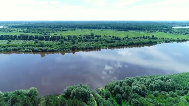 Hermoso paisaje natural de río y bosque verde vista aérea . — Vídeos de Stock