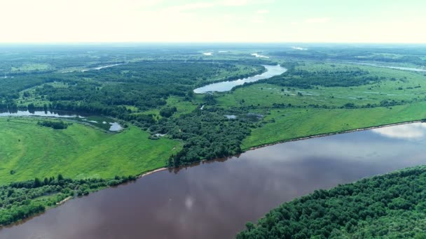 Bela paisagem natural de rio e floresta verde vista aérea . — Vídeo de Stock