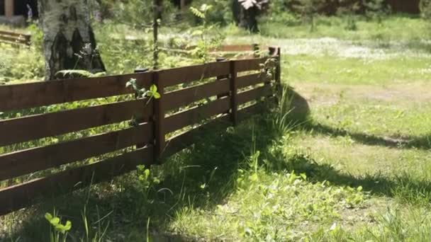 Territorium av hus på landet. Bakgård med äng och staket. — Stockvideo