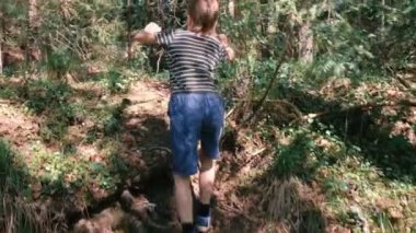 7 yaşındaki çocuk dağda ormanda yürüyüş. Arkadan görünüm. Ağır çekim.