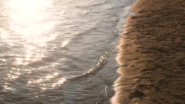 Golven op de zanderige rivier Bank tijdens zonsondergang. — Stockvideo