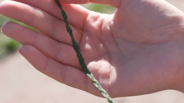 Braid from leaves in womans hand. — Stock Video