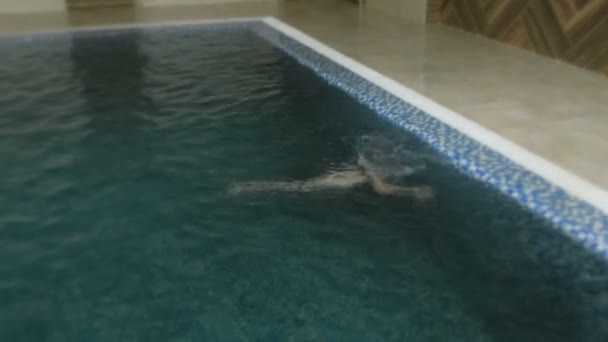 Garçon Plonge Dans Piscine Par Côté Ans — Video