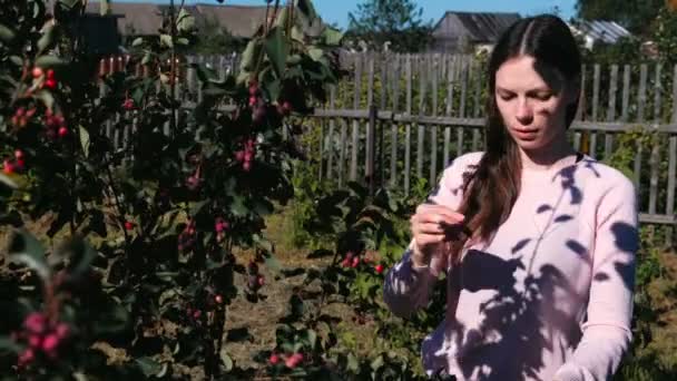 Jonge brunette vrouw eet shadberry, het scheuren van de struiken in het land. — Stockvideo