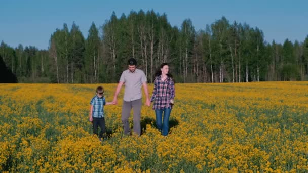 Familie lopen op het veld met gele bloemen in de buurt van het bos. Vader, moeder, zoon. — Stockvideo