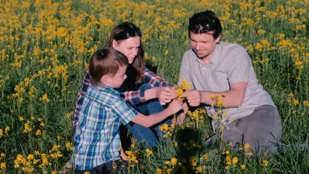 Madre, padre e hijo juegan con flores amarillas sentadas en la hierba. Caminata familiar . — Vídeo de stock