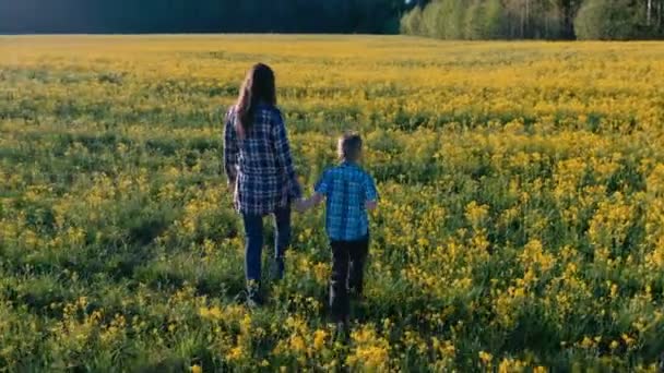 妈妈和儿子走在黄花的田野上 后退视图 — 图库视频影像