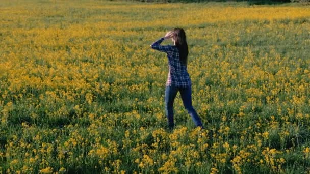Брюнетка гуляет по полю желтых цветов . — стоковое видео