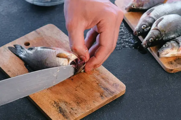 Adam balık solungaçları sazan keser. Balık pişirme. Eller yakın çekim. — Stok fotoğraf