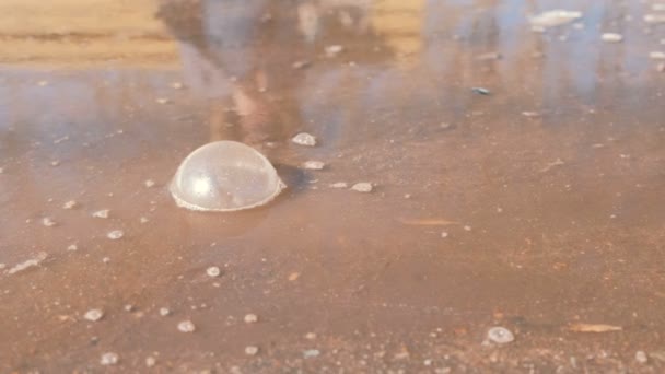 Grandes burbujas en charco fangoso. Primer plano . — Vídeos de Stock